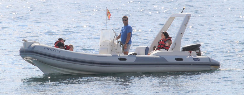 Excursion en bateau privé dans le sud de Tenerife