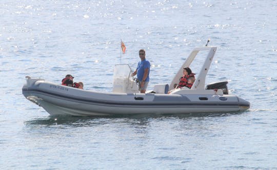 Private boat tour in southern Tenerife