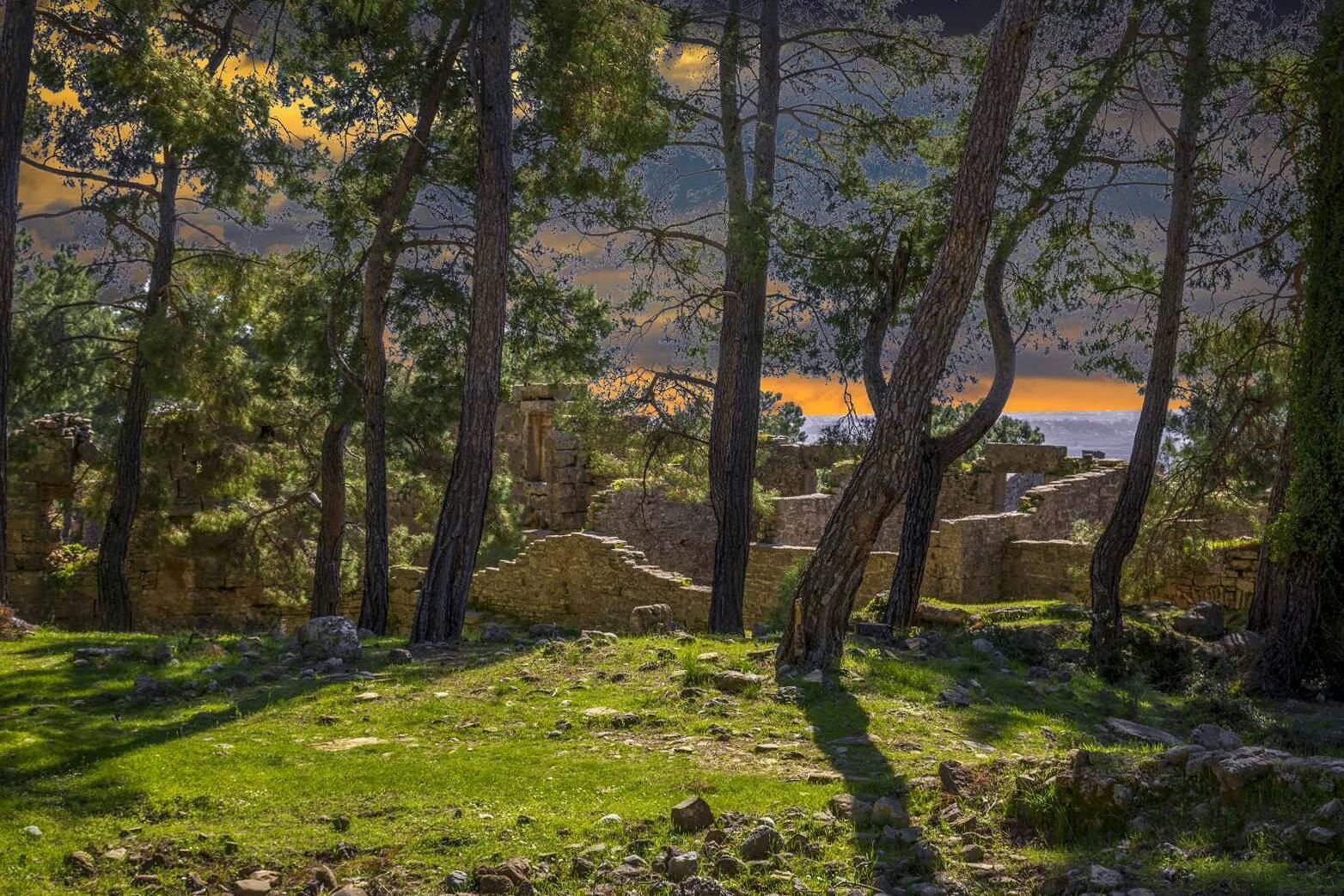 Tour to Ancient Seleucia