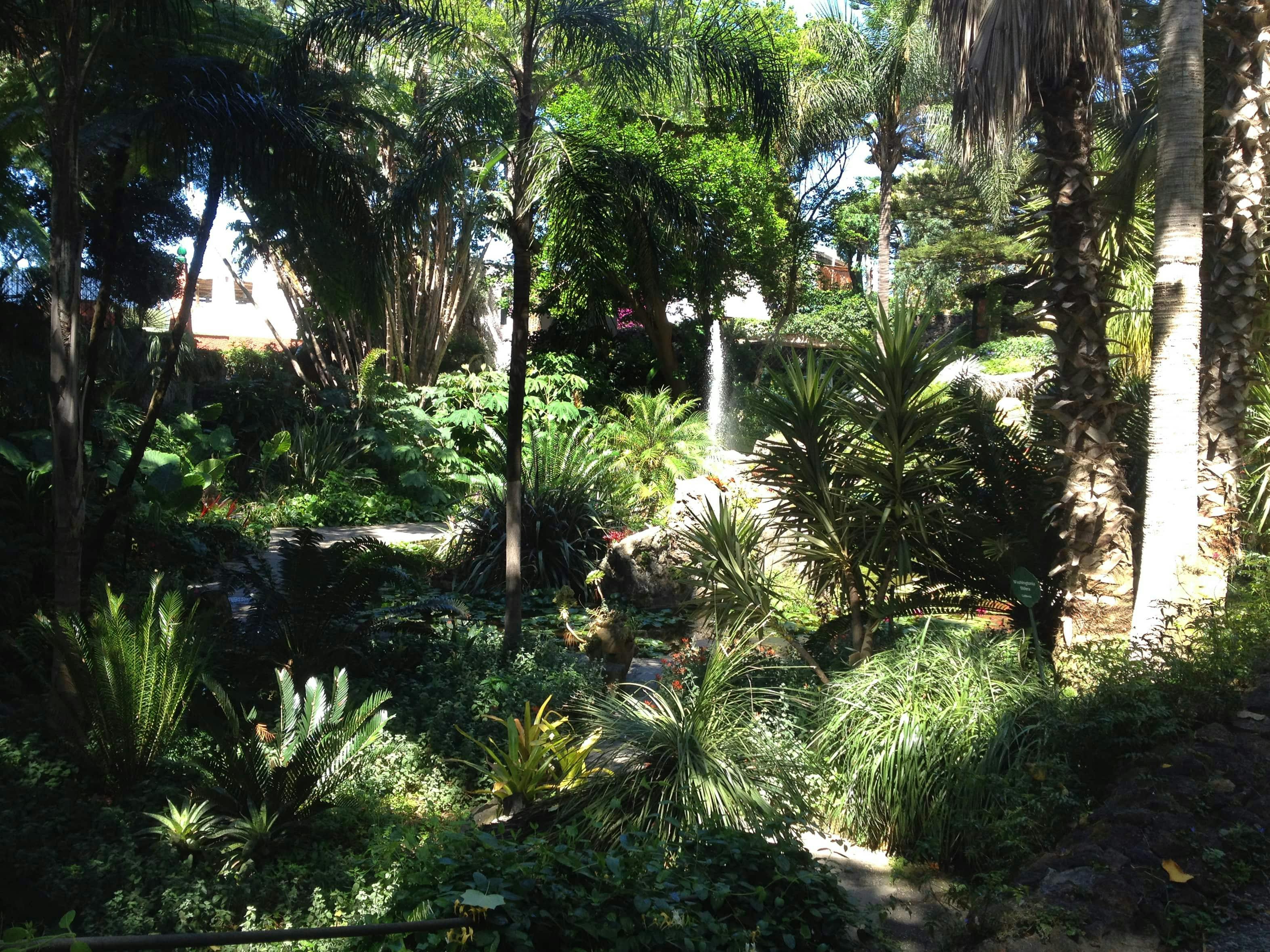 La Mortella Gardens Visit with Transfer