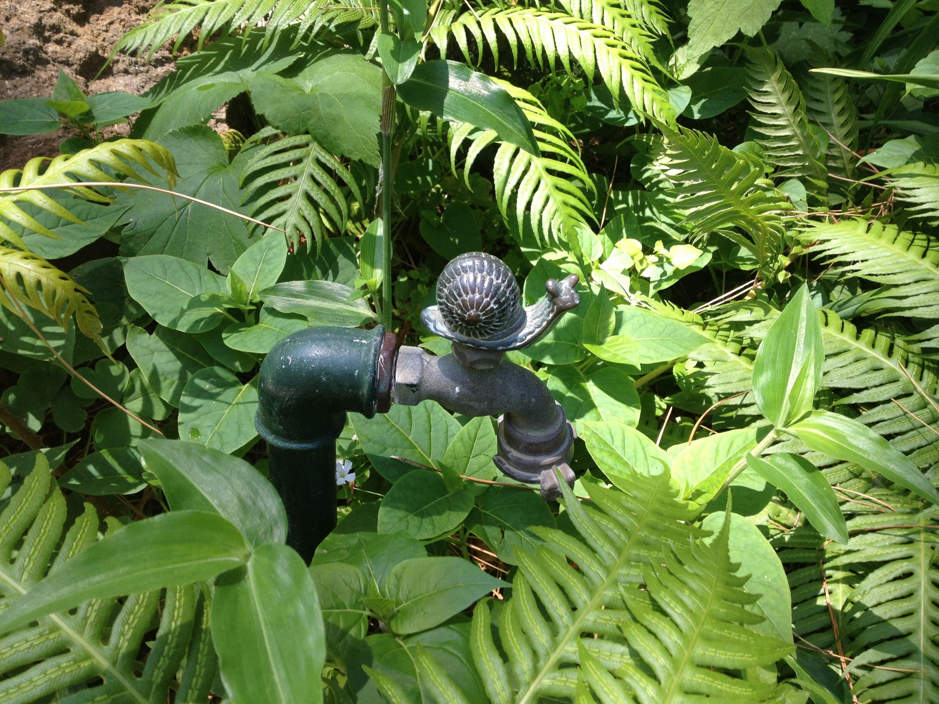 La Mortella Gardens Visit with Transfer