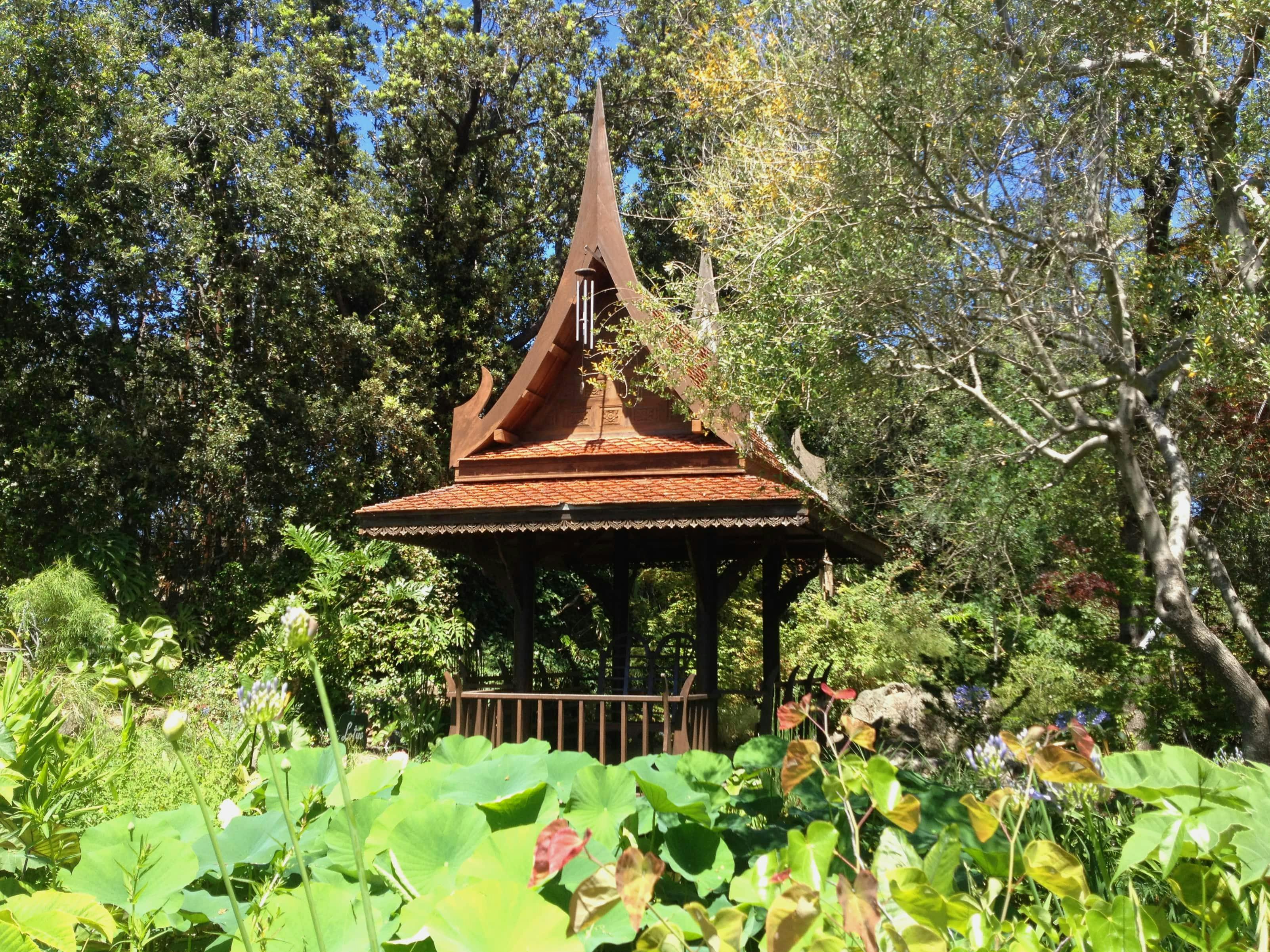 La Mortella Gardens Visit with Transfer