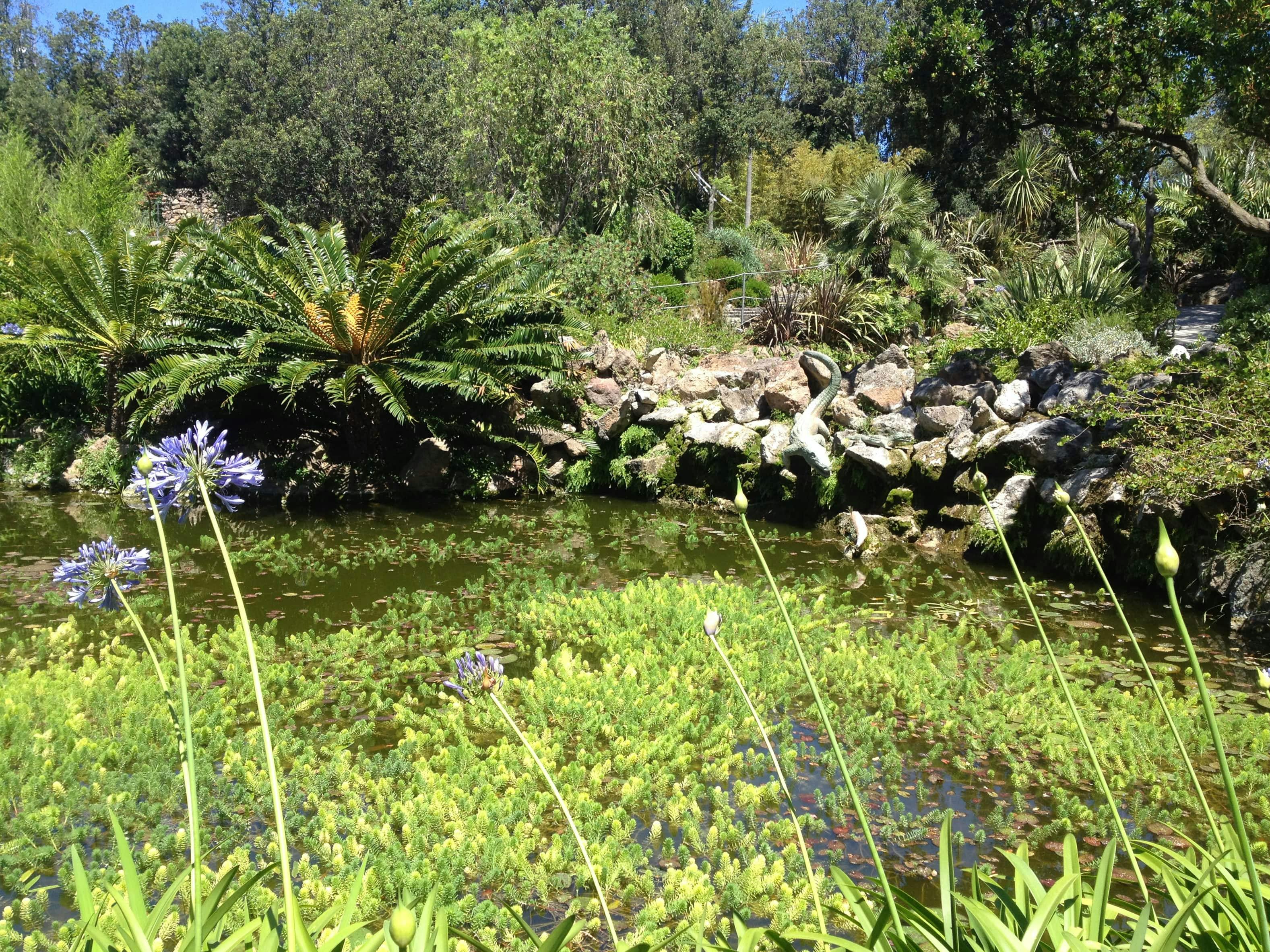 La Mortella Gardens Visit with Transfer