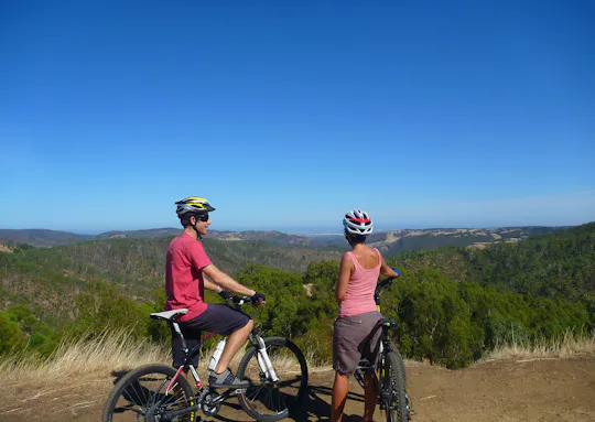 Half-day Lofty Descents tour by bike