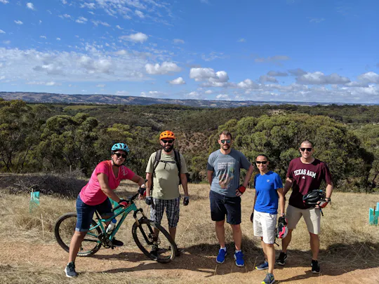 Full-day McLaren Vale bike and wine tour