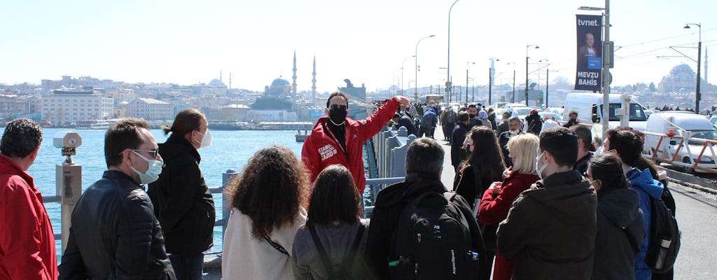 Tour a piedi per piccoli gruppi della città vecchia di Istanbul e di Taksim con una guida locale