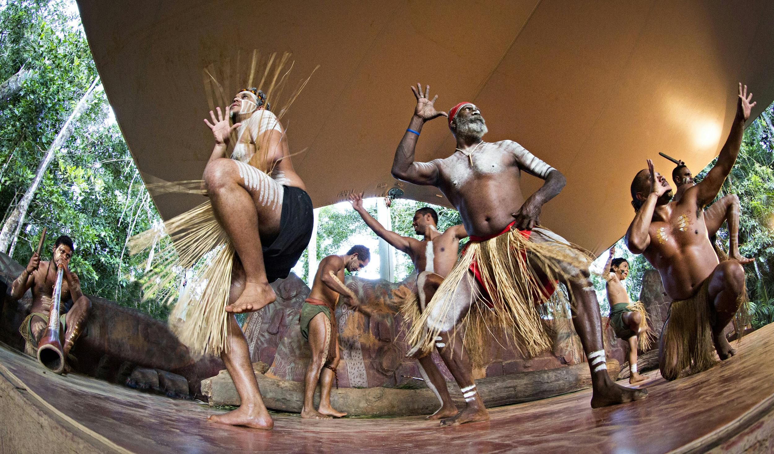 Pamagirri Aboriginal experience and Kuranda tour Musement