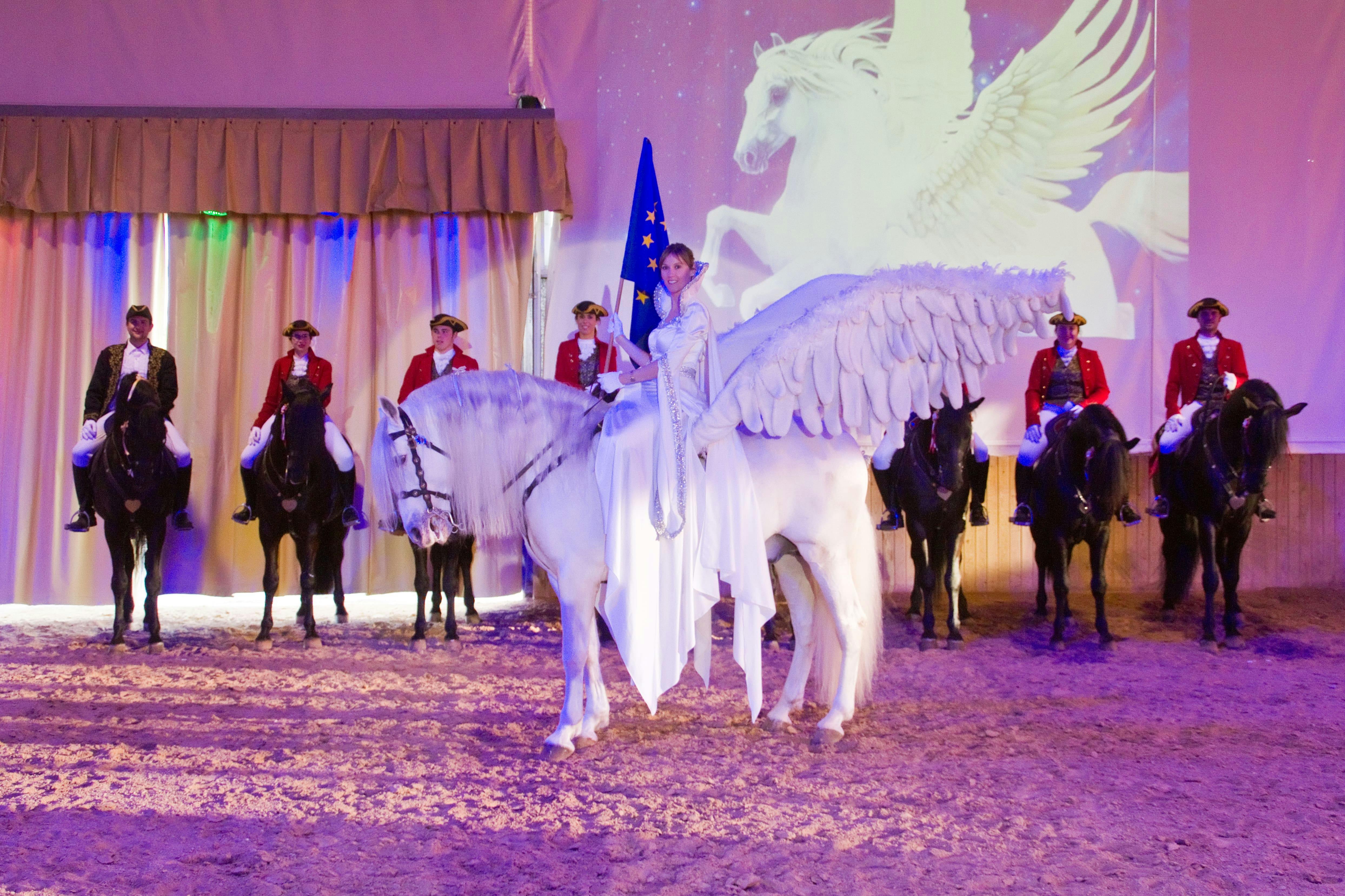 Somni - pokaz tańczących koni