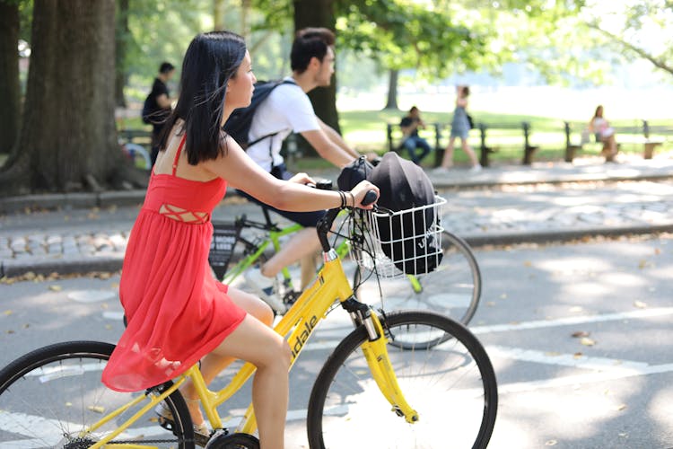 Central Park full-day bike rental with picnic box