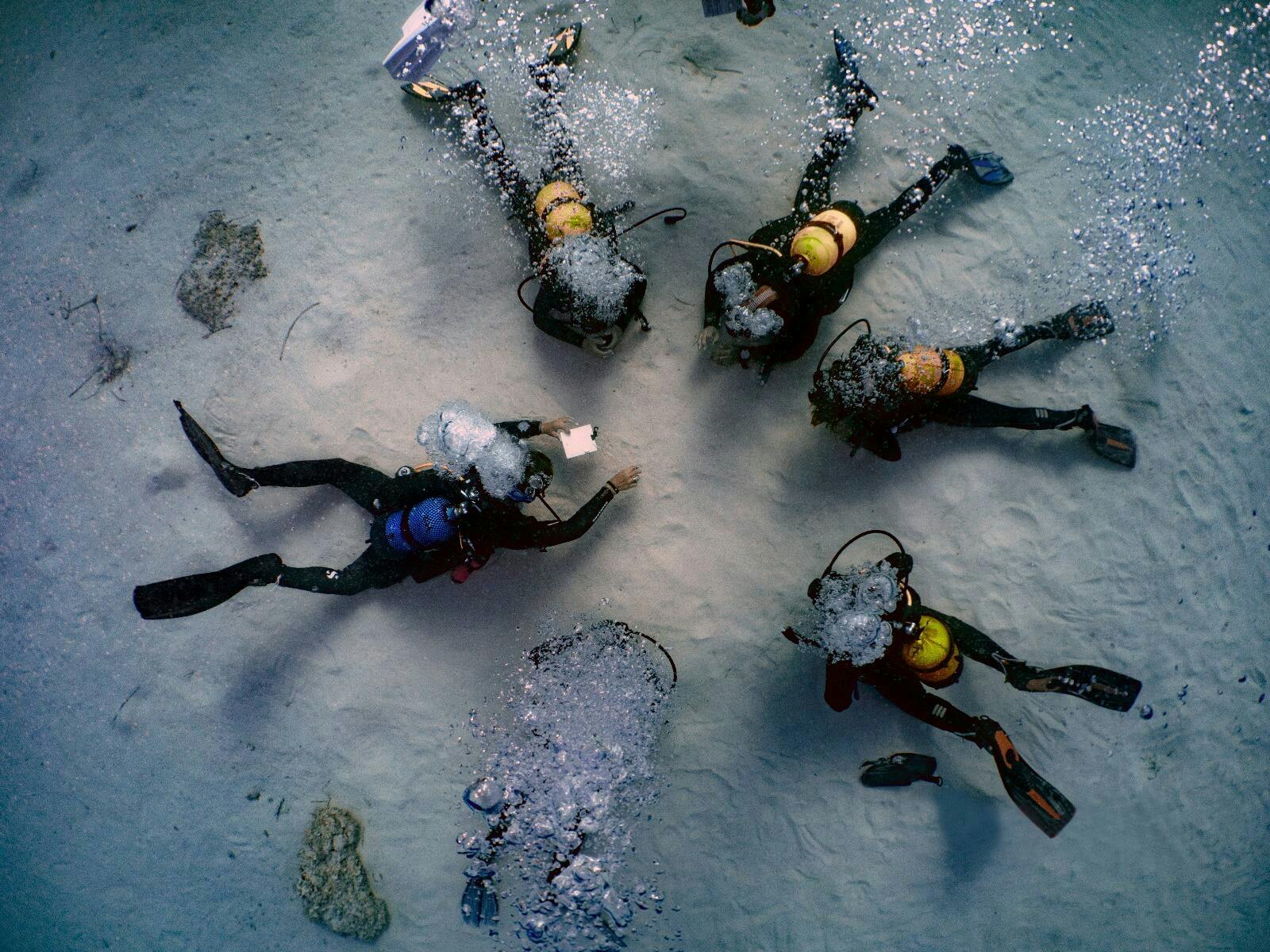Corsi di immersione in acque libere a Maiorca con Skualo Water Sports