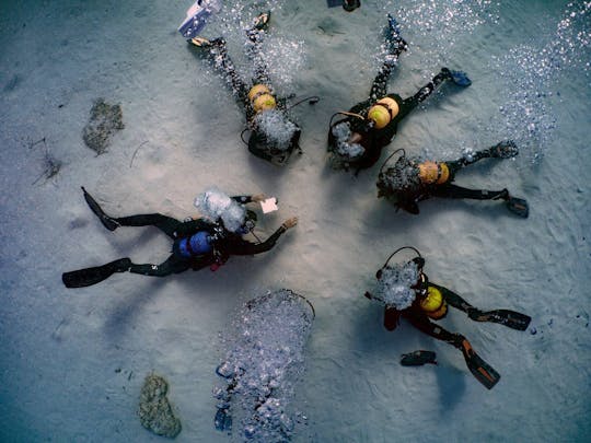 Corsi di immersione in acque libere a Maiorca con Skualo Water Sports