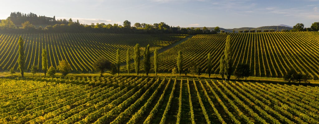 Visite privée du Chianti avec dégustation de vin et déjeuner