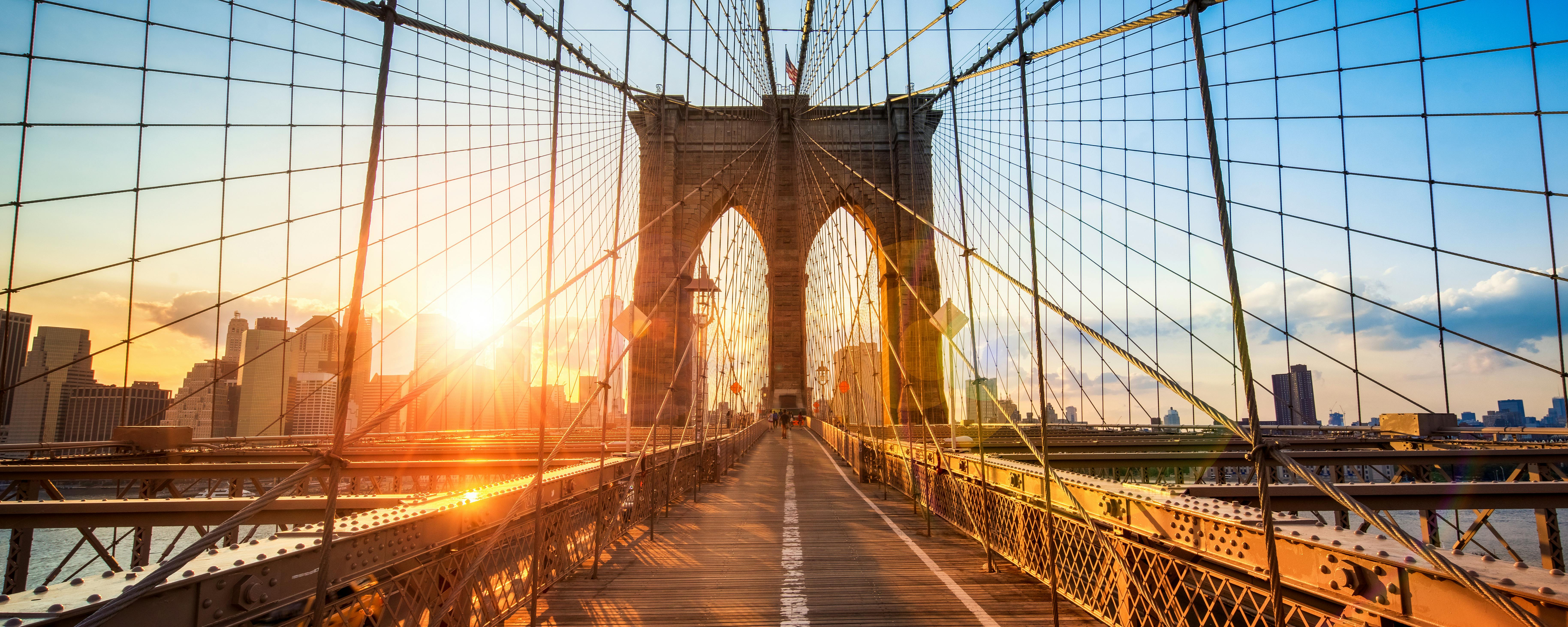 Privétour New York City Boroughs: Brooklyn, The Bronx, Harlem & Queens met Coney Island