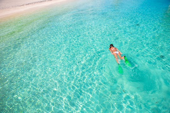 Excursão de mergulho em Capo Marrargiu