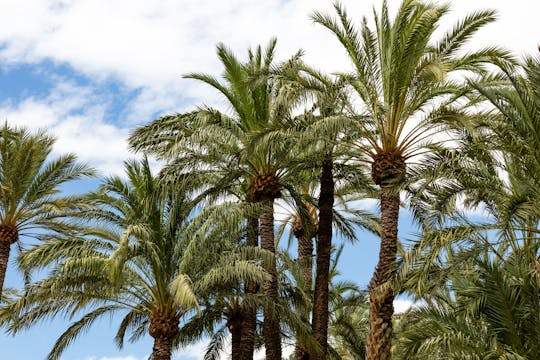 Exklusive Robinson Club Sitia & Vai Palmenstrand Tour