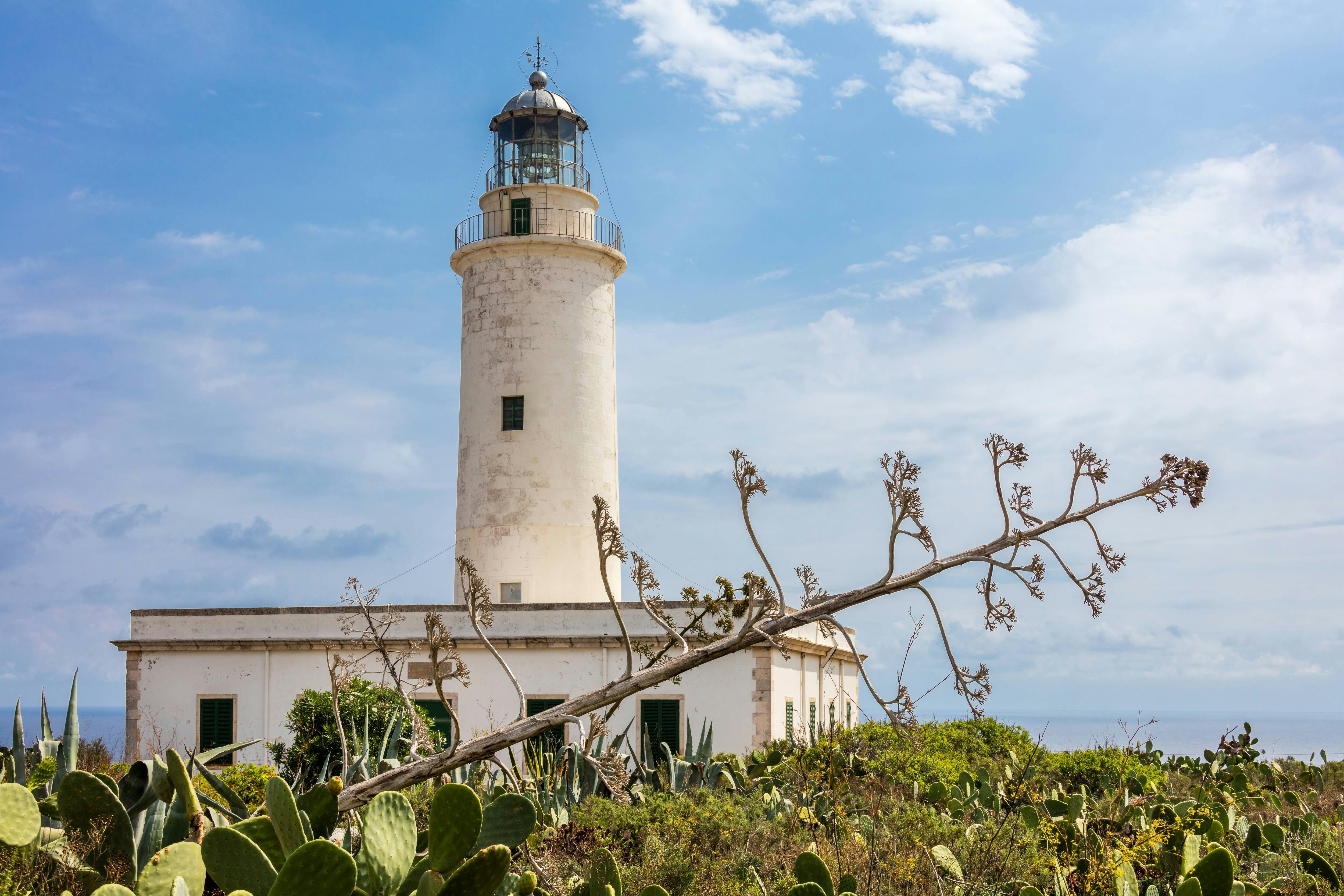 Formentera by Bus