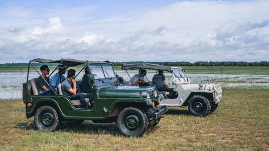 Excursão privada ao pôr do sol no campo em 4x4