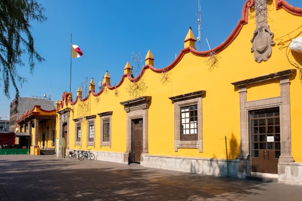 Visita guidata di Xochimilco e Coyoacán