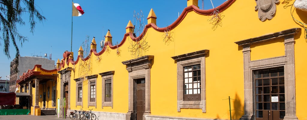 Visite guidée de Xochimilco et Coyoacán