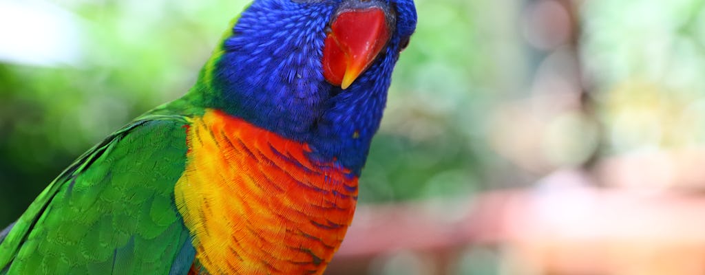 Ingresso de entrada do Birdworld Kuranda Park