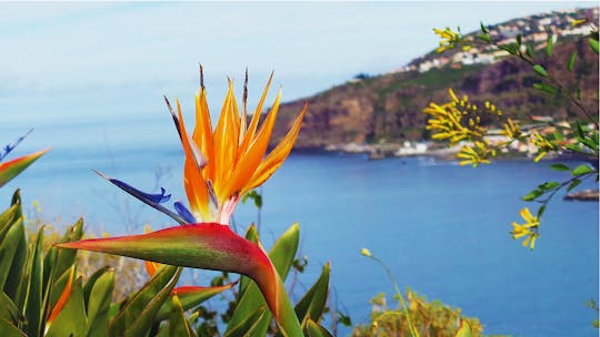 Madeira amazing views: cliff & valleys in open roof 4x4 tour