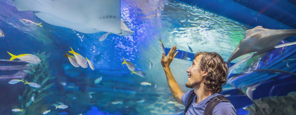 Entrada al acuario y zoológico submarino de Dubai Mall