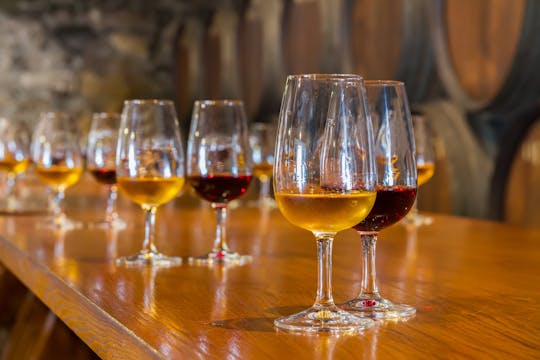 Visite des vins verts et des tapas de Porto