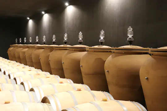 Premium-Tour mit Weinprobe im Château Réaut