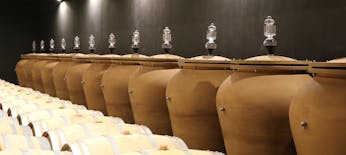 Premium tour with wine tasting at Château Réaut