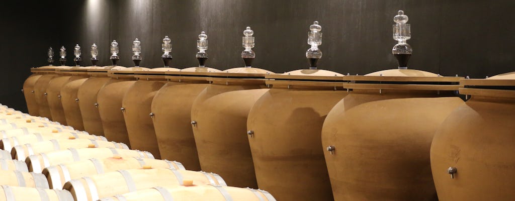 Tour premium con cata de vinos en Château Réaut