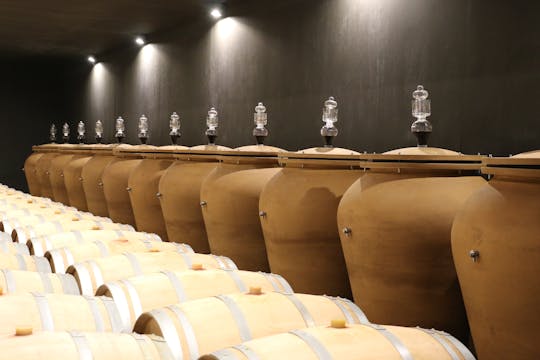 Tour premium con cata de vinos en Château Réaut