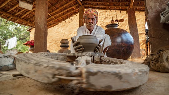 Visite du village de Bishnoi au départ de Jodhpur