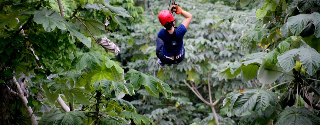 Forest Zipline Adventure Experience