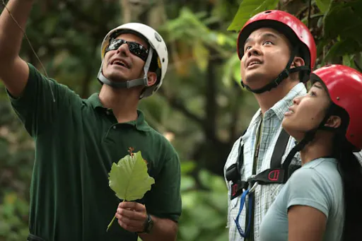 Forest Zipline Adventure Experience