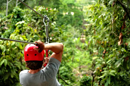 Forest Zipline Adventure Experience