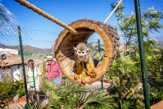 Amazonas Park & Glass-Bottom Boat Tour