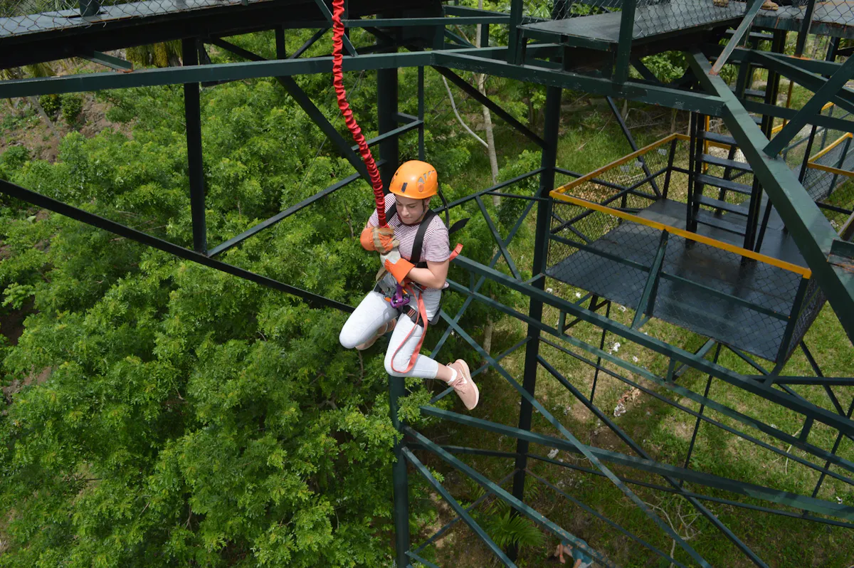 Forest Zipline Adventure Experience