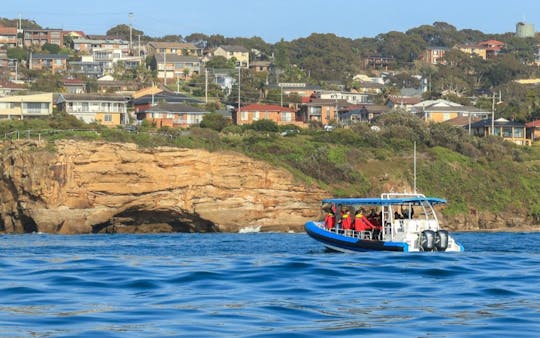 Hunter coastal adventure boat tour