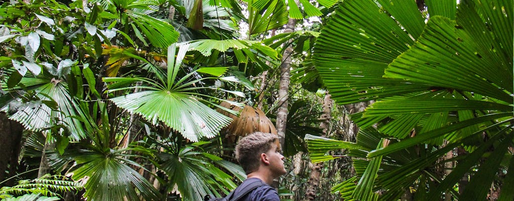 Tour di un giorno di Daintree e Cape Tribulation