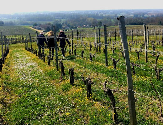 Tour por la naturaleza con degustación de vinos en Château Réaut