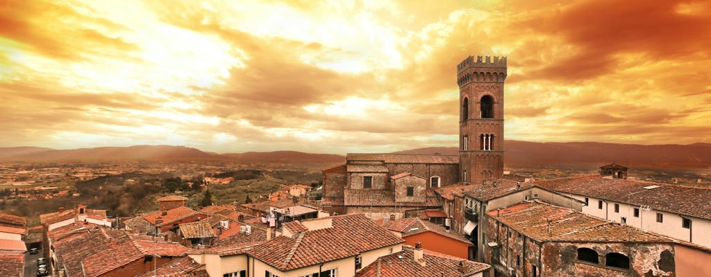 Lucca guided tour with wine tasting and dinner in a farmhouse