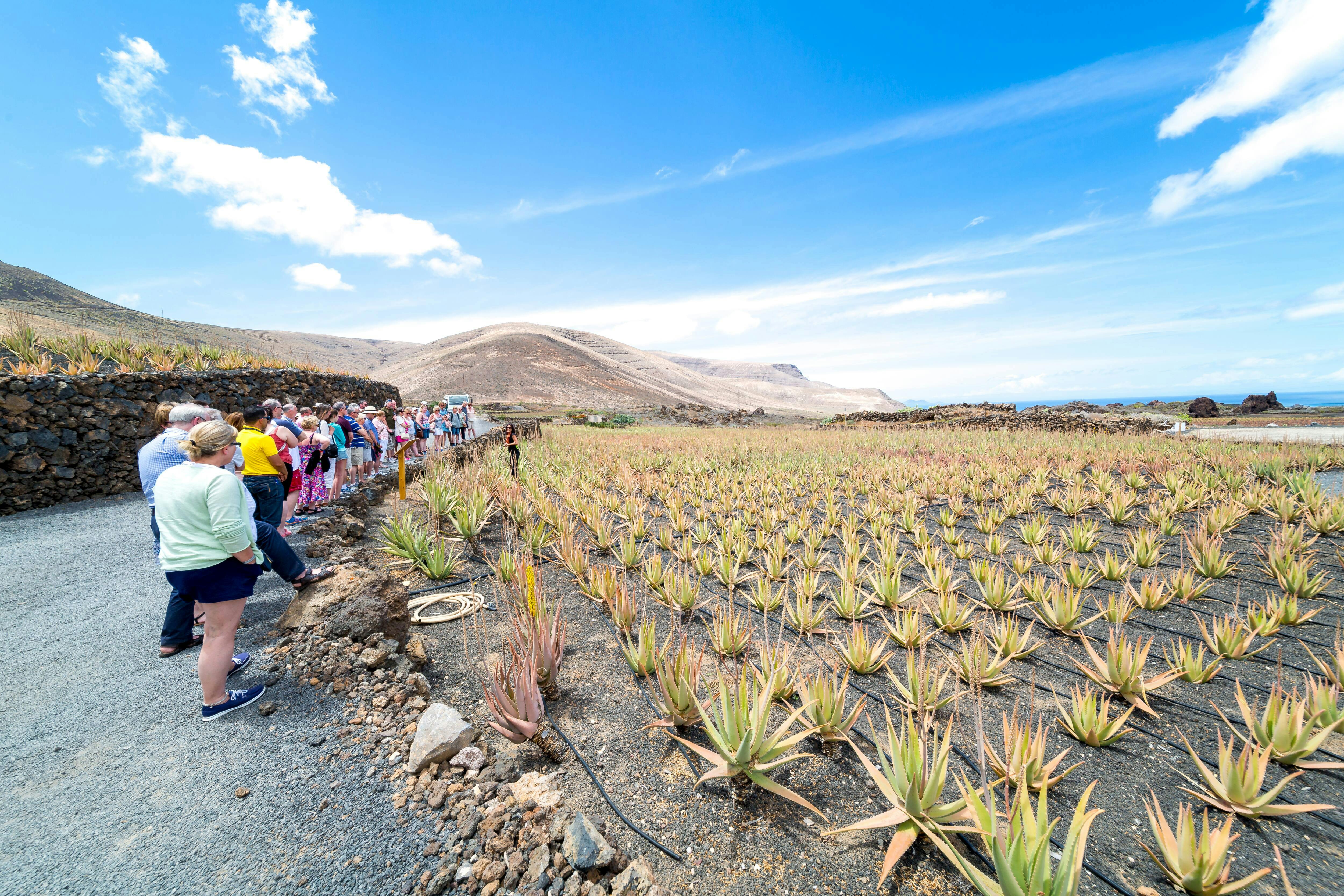 Small Group Tour Island Tour of Lanzarote