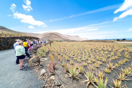 Small Group Tour Island Tour of Lanzarote