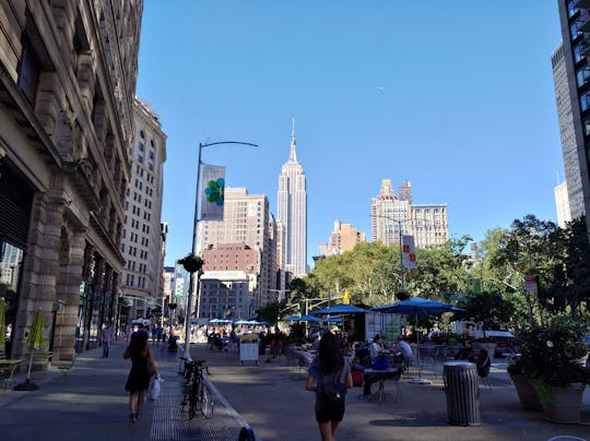 Частная пешеходная экскурсия по центру Манхэттена с билетом Эмпайр Стейт