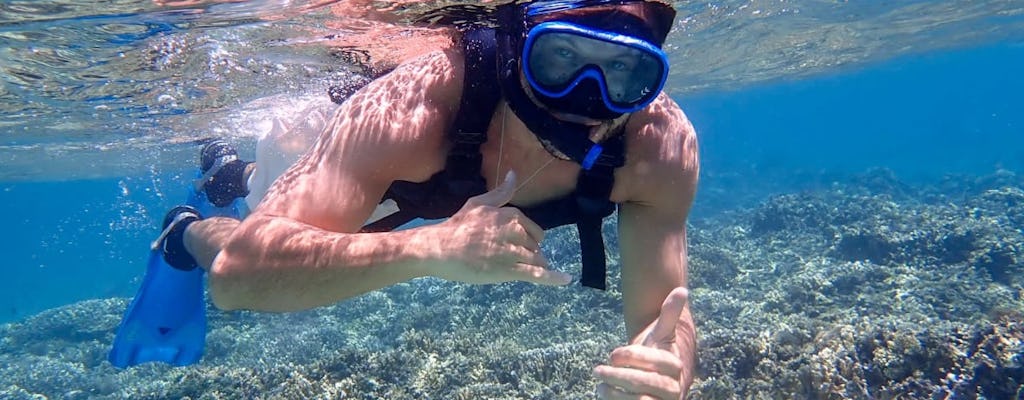 Całodniowe snorkeling i SUP-kajakarstwo na wyspie Iriomote