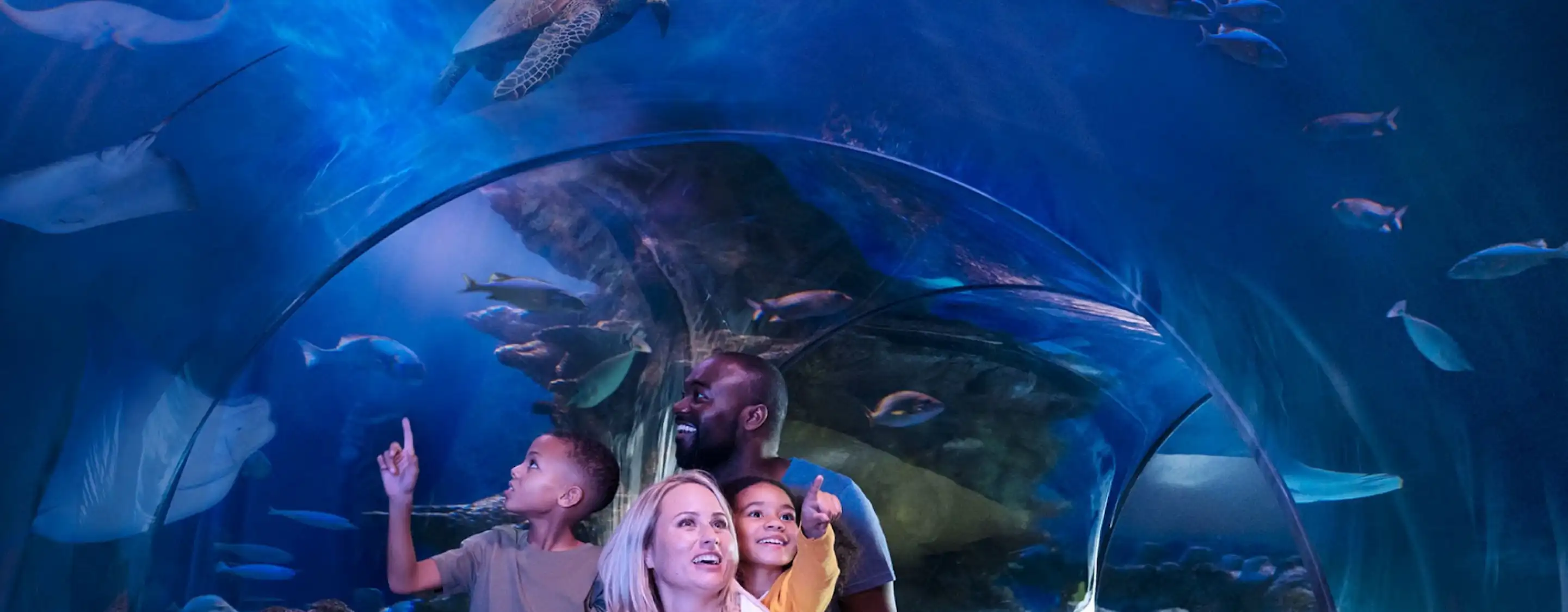 SEA LIFE Orlando Aquarium