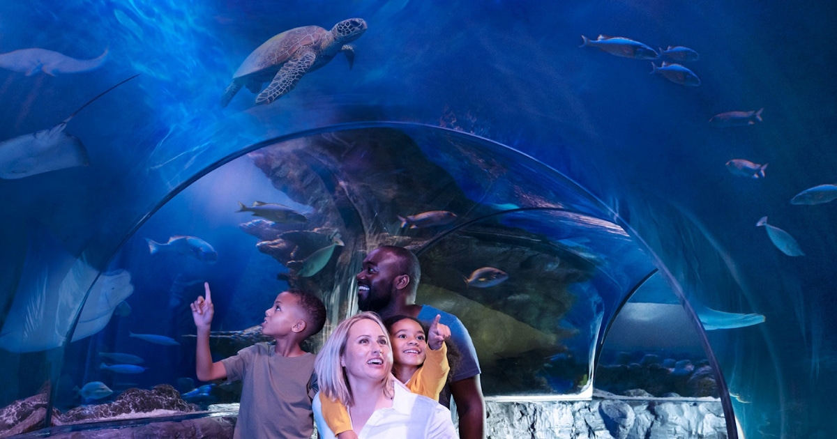 SEA LIFE Orlando Aquarium Tickets and Tours SEA LIFE Orlando Aquarium Tickets and Tours