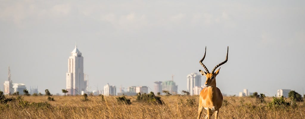 Tour de medio día por el Parque Nacional de Nairobi