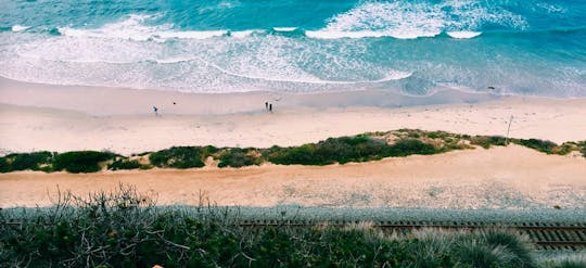 Private full-day highlights tour of San Diego