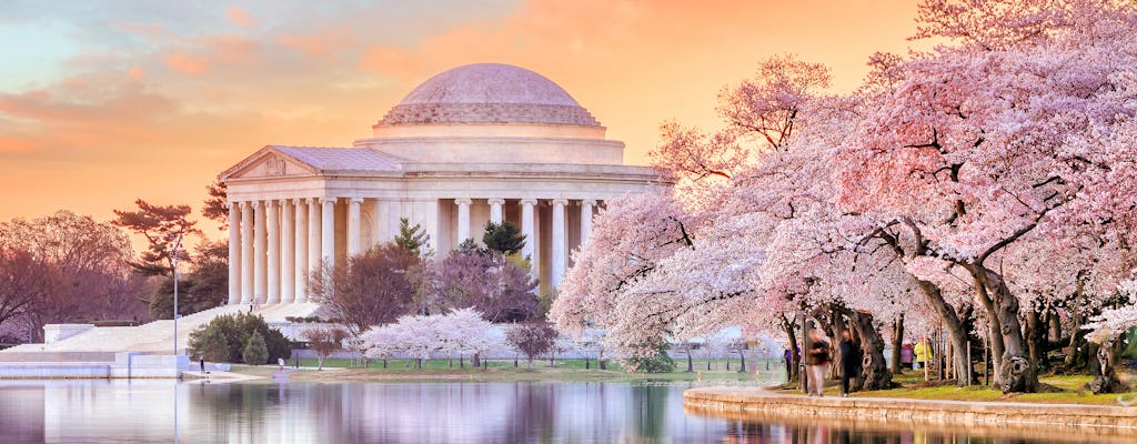 The History of DC: Private walking tour of the National Mall